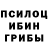 Галлюциногенные грибы Cubensis Luigi Quinonez