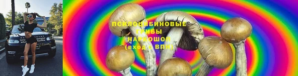 тгк Богородицк