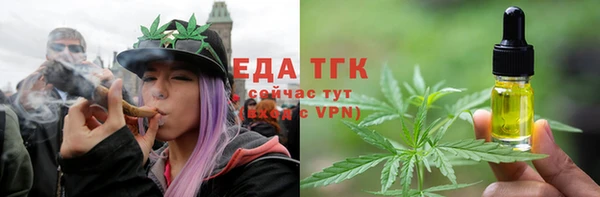 гашик Богданович