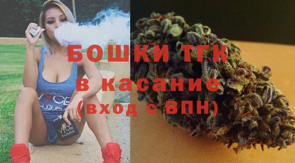 гидропоника Бородино