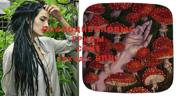 тгк Богородицк