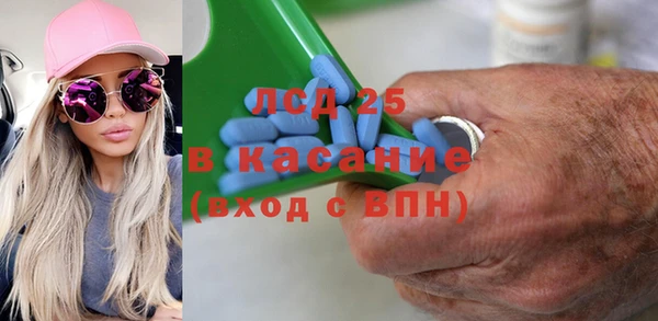 гашик Богданович